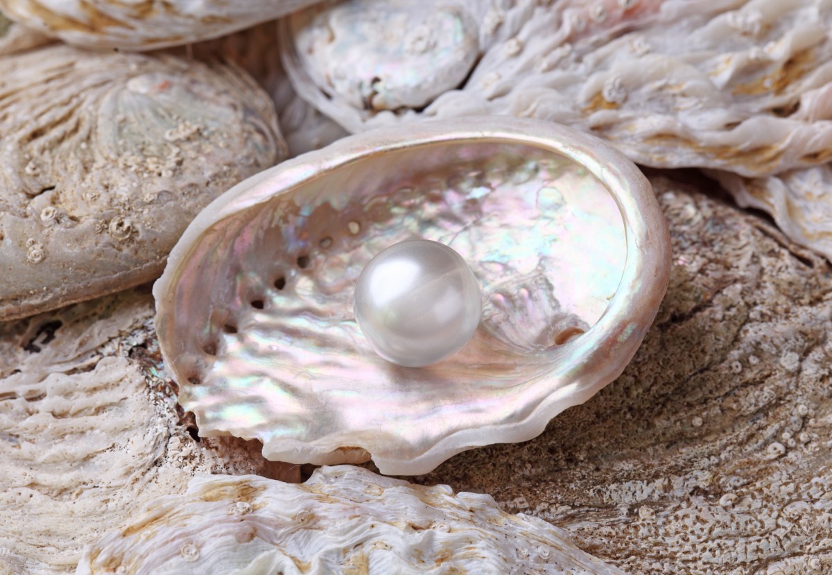 Ingredient Series: Pearl&nbsp;Extract